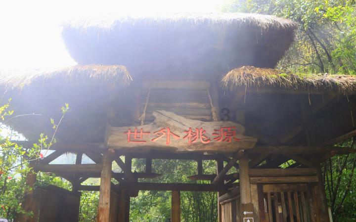 缤纷水果茶无敌版